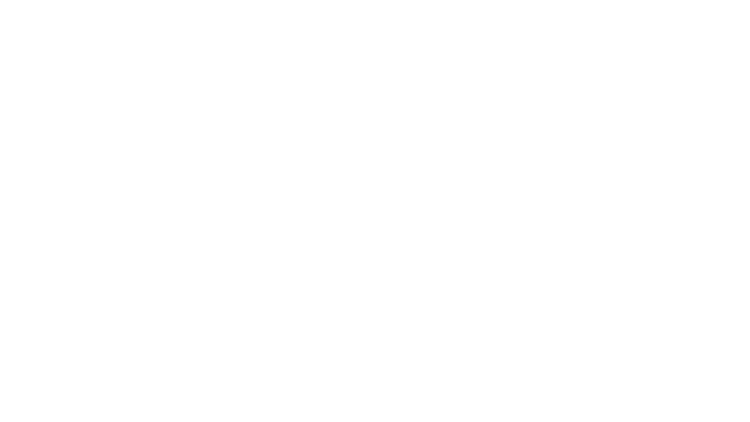 travelers