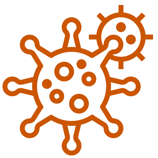 mold-removal-services