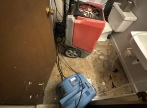 air mover and dehumidifier 