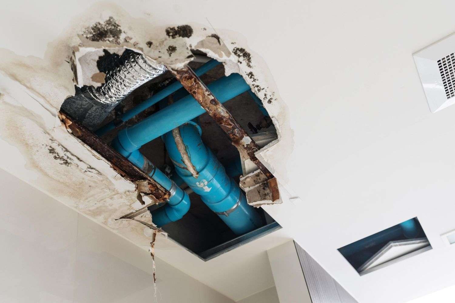 Water Damage Repair New Palestine, IN